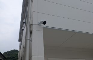 PXL_20250529_054251848.MP