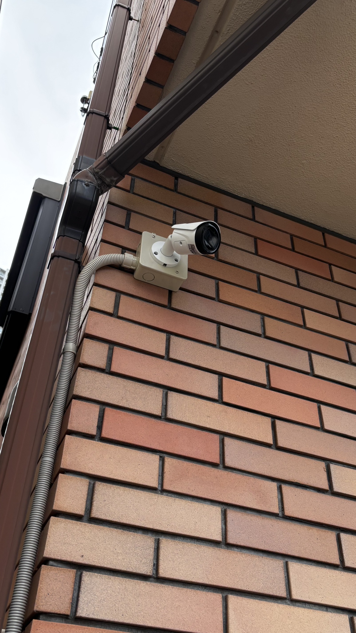 法律事務所⑤