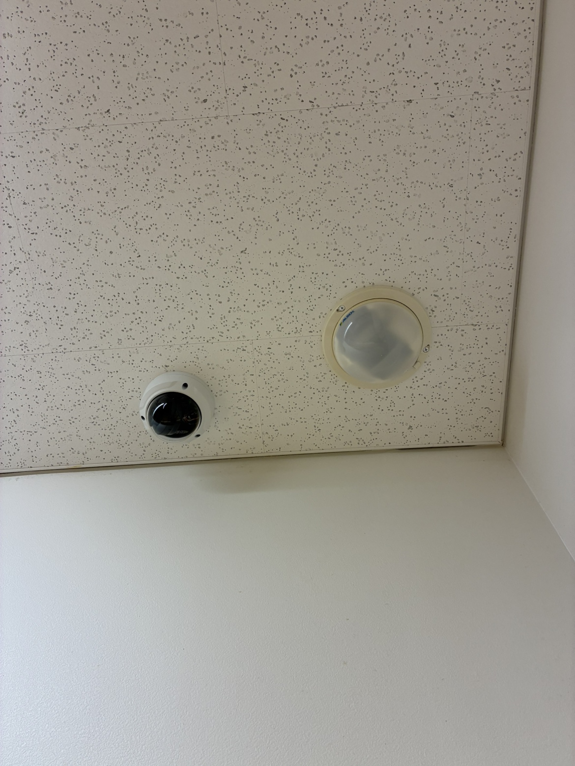 たかもり本陣保育園