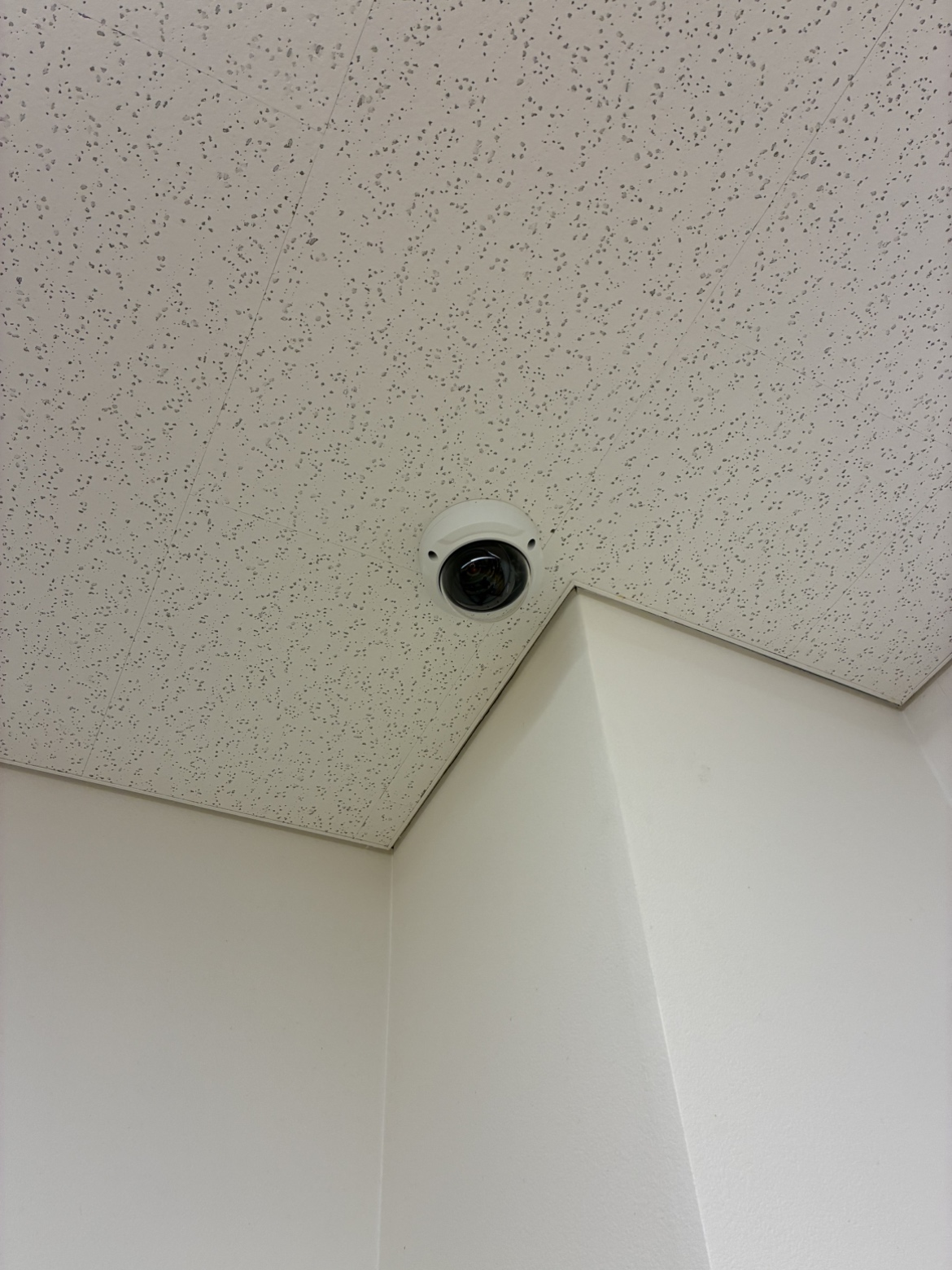 たかもり本陣保育園2