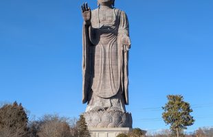 PXL_20260131_055320457.MP~2 (1)