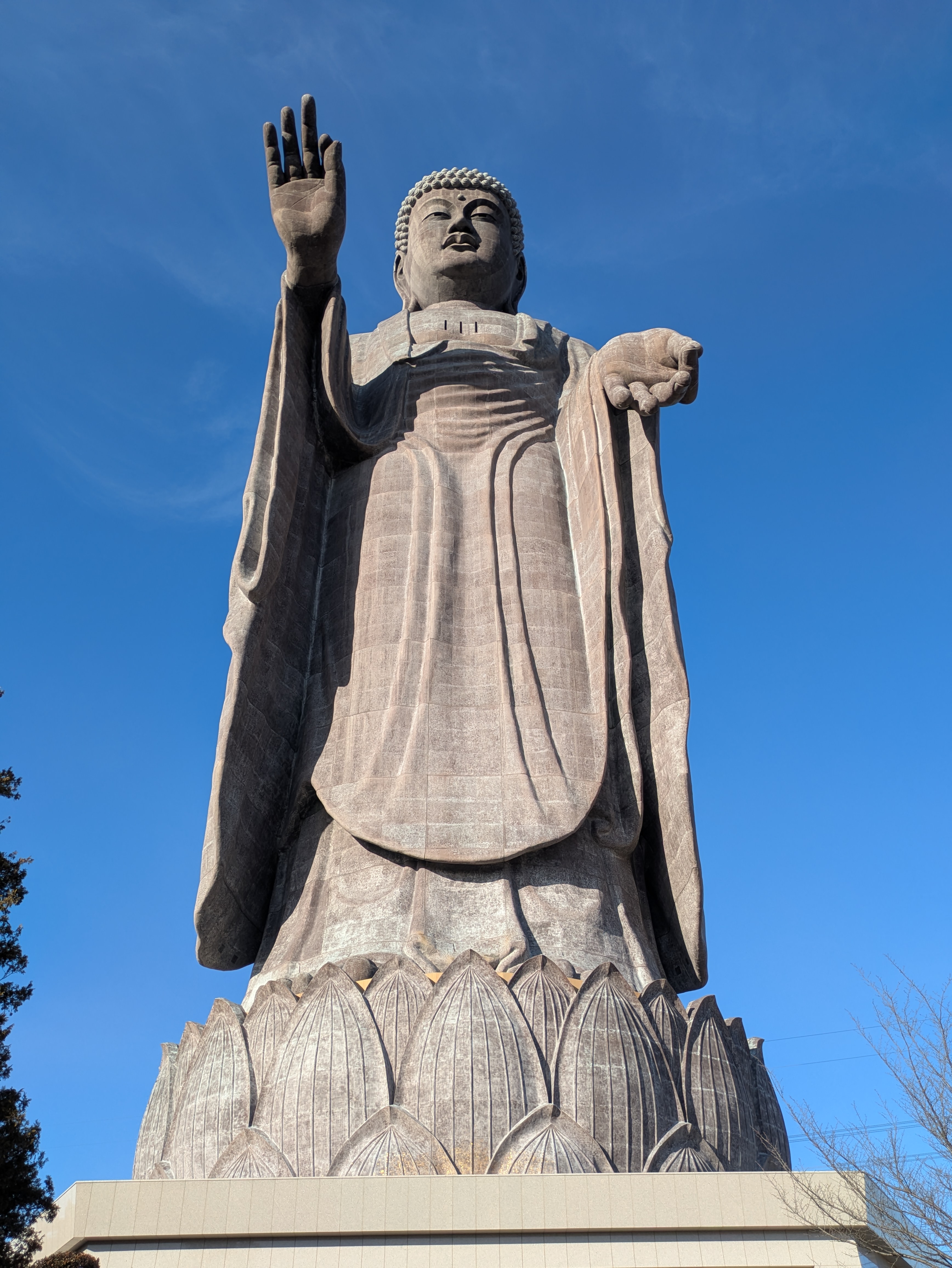 PXL_20260131_055751296 (1)